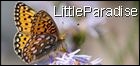 Little Paradise Little Paradise